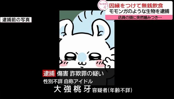 自称アイドル